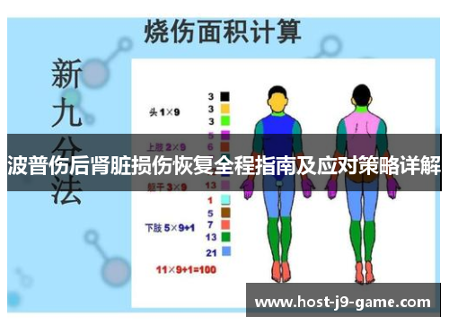 波普伤后肾脏损伤恢复全程指南及应对策略详解 波普伤后肾脏损伤恢复全程指南及应对策略详解