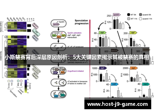 小斯禁赛背后深层原因剖析:5大关键因素揭示其被禁赛的真相 小斯禁赛背后深层原因剖析:5大关键因素揭示其被禁赛的真相