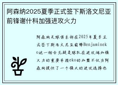 阿森纳2025夏季正式签下斯洛文尼亚前锋谢什科加强进攻火力 阿森纳2025夏季正式签下斯洛文尼亚前锋谢什科加强进攻火力